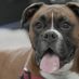 vtec_heaven