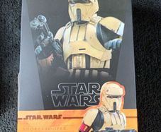 Hot Toys Star Wars Shoretrooper and Shoretrooper Squad Leader