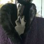 Luxe Plum Coatigan with Fur Collar - Mind, Sense, Spirit Brand, UK M 12/14, AV Image 7