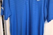 Italy 2012 Home Replica Jersey