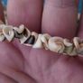 Shell Necklace Tropical Beach Fashion Jewelry Image 2