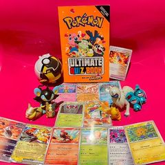 Pokemon Large Bundle