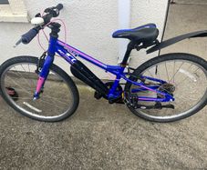 Girls Carrera bike