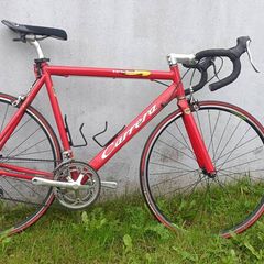 Carrera Virtuoso