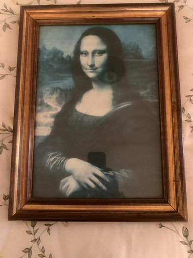 Framed Print