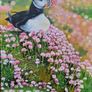 Puffin and Sea Pinks | oil painting | framed Image 4