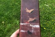 Antique Japanese Lacquered Box