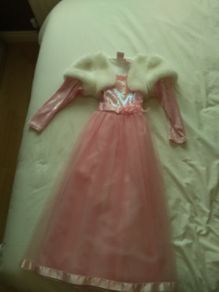 Girls Fairy Dust Costume