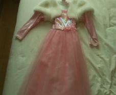 Girls Fairy Dust Costume