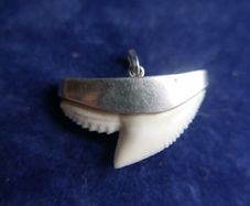 Vintage Sterling Silver Mounted Sharks Tooth Pendant