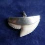 Vintage Sterling Silver Mounted Sharks Tooth Pendant Image 5