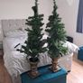 mini christmas trees Image 2