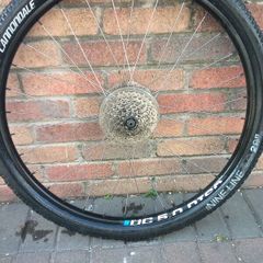 bike wheels