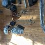 Home Gym Image 4