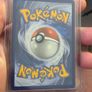 Pokemon TCG First Partner Illustration Collection Series 3 Hoenn Starters Gen 3 Image 3