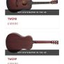 Tanglewood Crossroads Acoustic Guitar + accessories Image 6