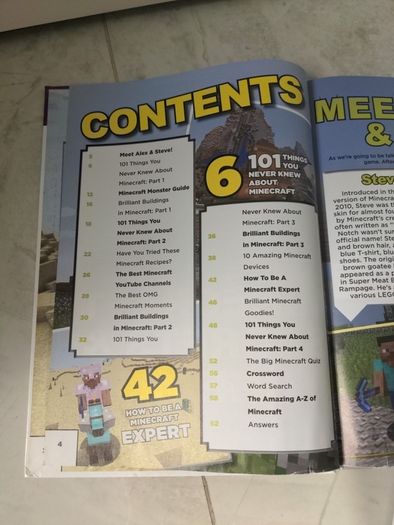 Independent and Unofficial Guide to MINECRAFT secrets and cheats