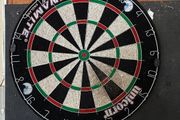 unicorn dartboard