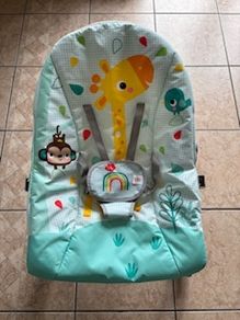 Bright Starts Baby to Toddler Rocker
