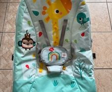 Bright Starts Baby to Toddler Rocker