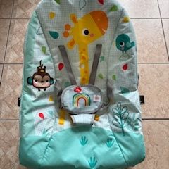 Bright Starts Baby to Toddler Rocker