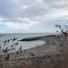 ppeyton