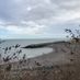 ppeyton