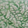 DISH - Vintage - Cabbage Leaf Image 8