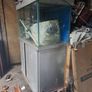 large Fish Tank Image 3