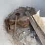 Cast iron bath Image 3