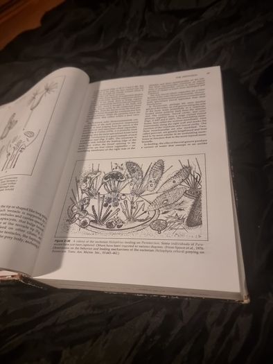 Invertibrate Zoology . 4th edition(Hardcover Illustrated Boards)