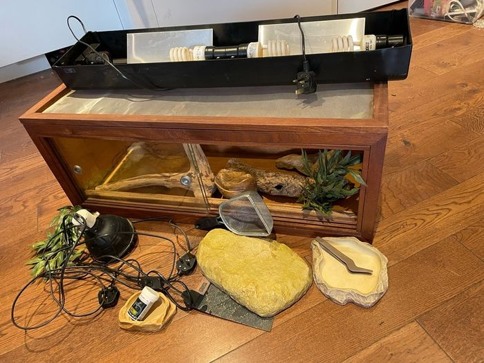 wooden reptile terrarium