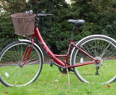 Apollo Cafe Ladies City Bike 6 Speed Large Basket 28 inch Wheels