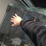 1000ltr Fish Tank Best Offer Takes It, Need It Gone Asap Image 4