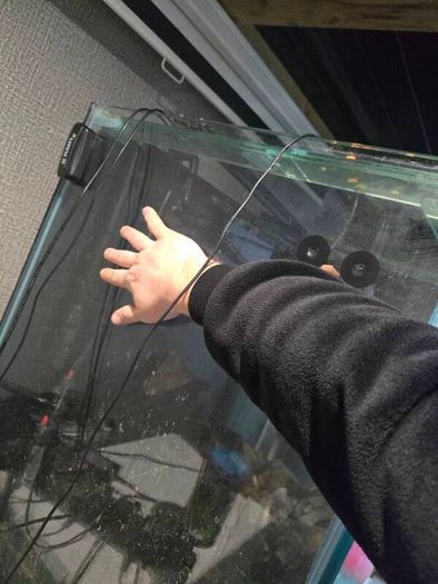 1000ltr Fish Tank Best Offer Takes It, Need It Gone Asap