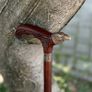 Unique Handmade Walking Stick, Raven with Celtic Knot Handle, Never Used Image 2