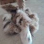 charlie bear meadow bunny puppet Image 2