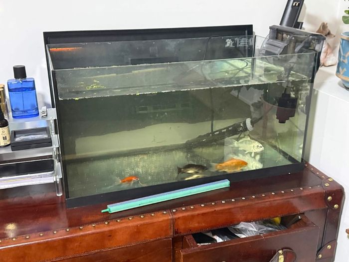 FishTank/ Cabinet