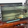 FishTank/ Cabinet Image 2