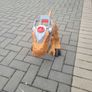 toy Image 5