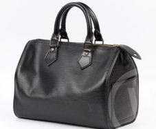 Louis Vuitton Speedy bag