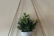 Hanging Wall Shelf With Artificial Plant