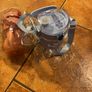 Kids water bottle school sport travel kindergarten Image 3