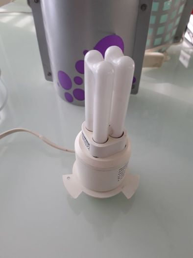 bedside lamp