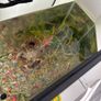 Fish Tank Image 5