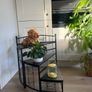 Black flower/display stand Image 3