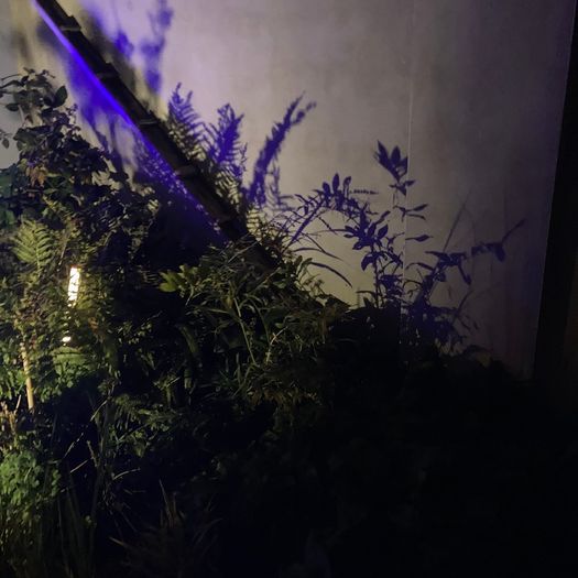 3x low voltage garden lights; 250 lumen, warm white LEDs, 12 metre cable.