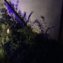 3x low voltage garden lights; 250 lumen, warm white LEDs, 12 metre cable. Image 10