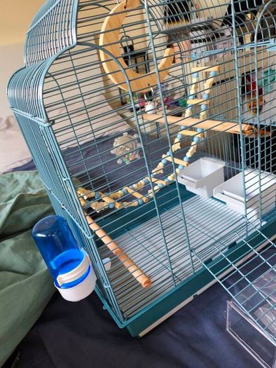 New Parrot/bird Cage Starter Kit + Tons of Accessories