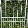 Iron gates Image 2